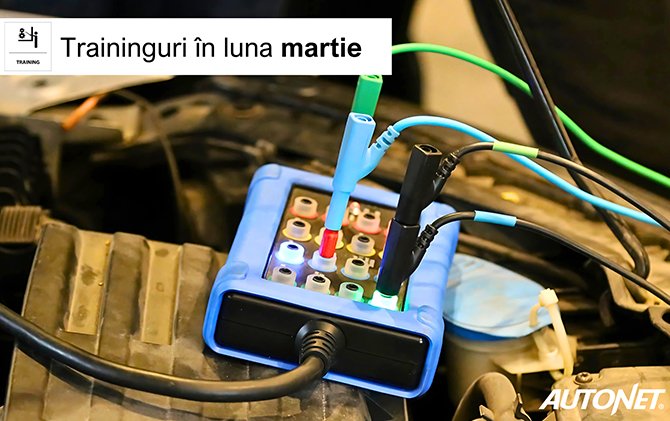 Trainingurile Autonet ale lunii martie: subiecte de bază, dar și de sezon
